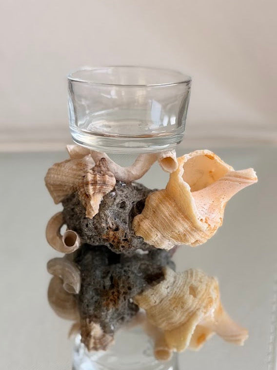 Seashell Tea Light Holder