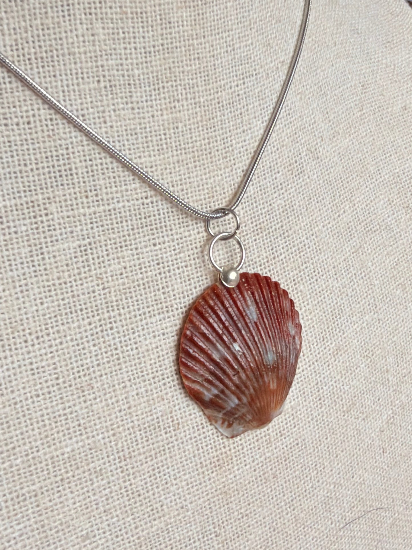 Speckled Scallop Shell Necklace