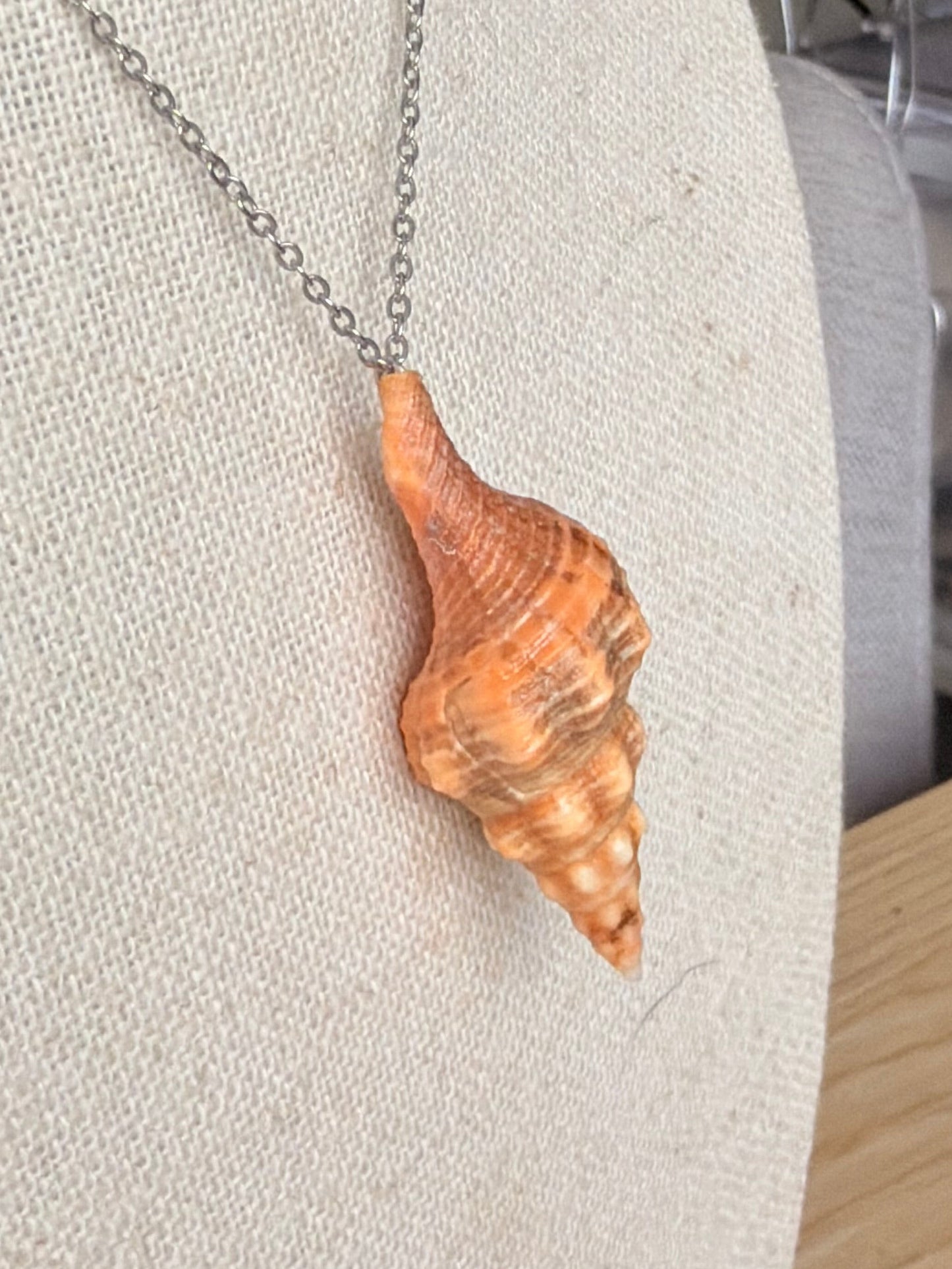 2" Horse Conch Necklace