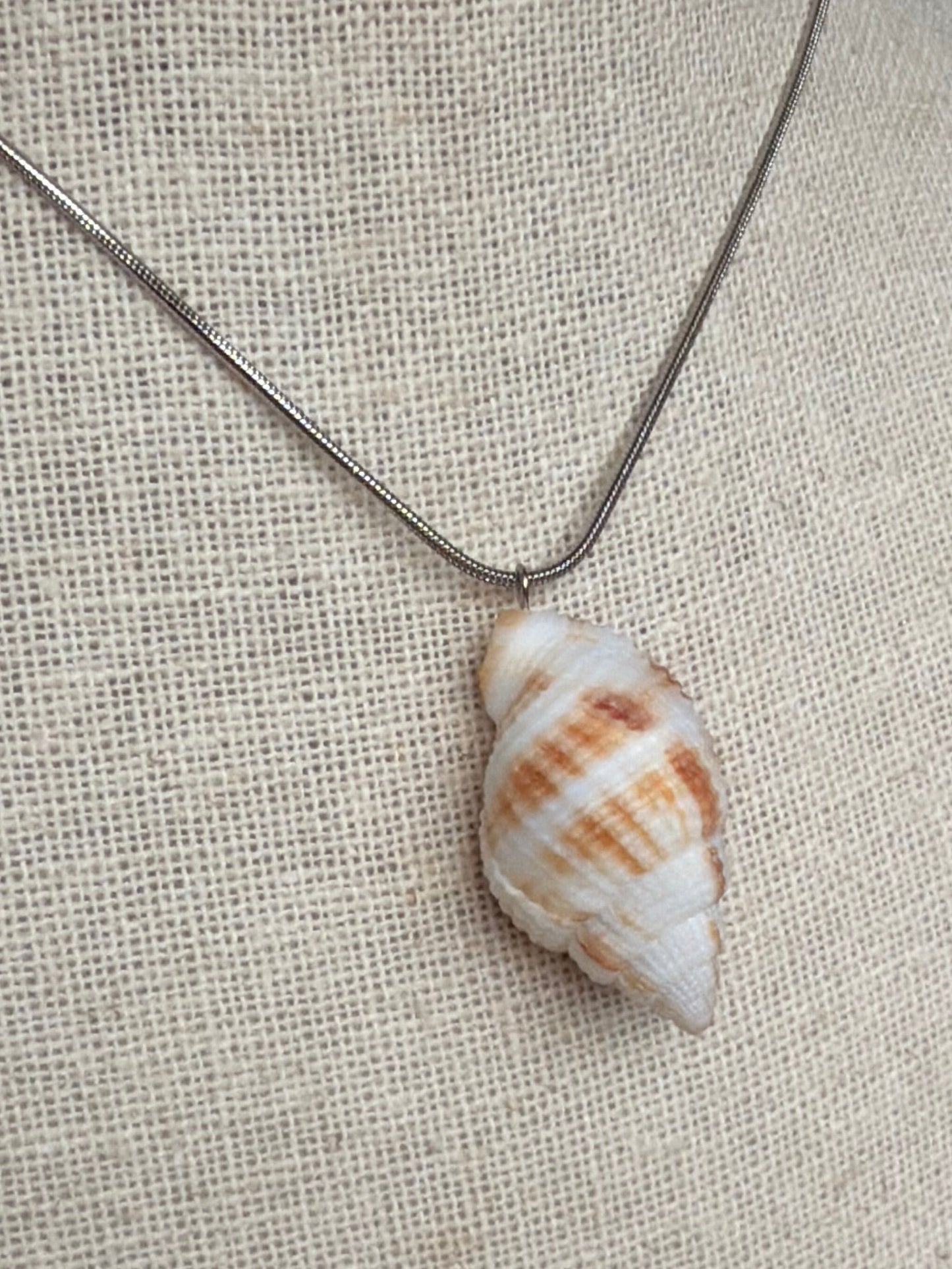 Nutmeg Shell Necklace