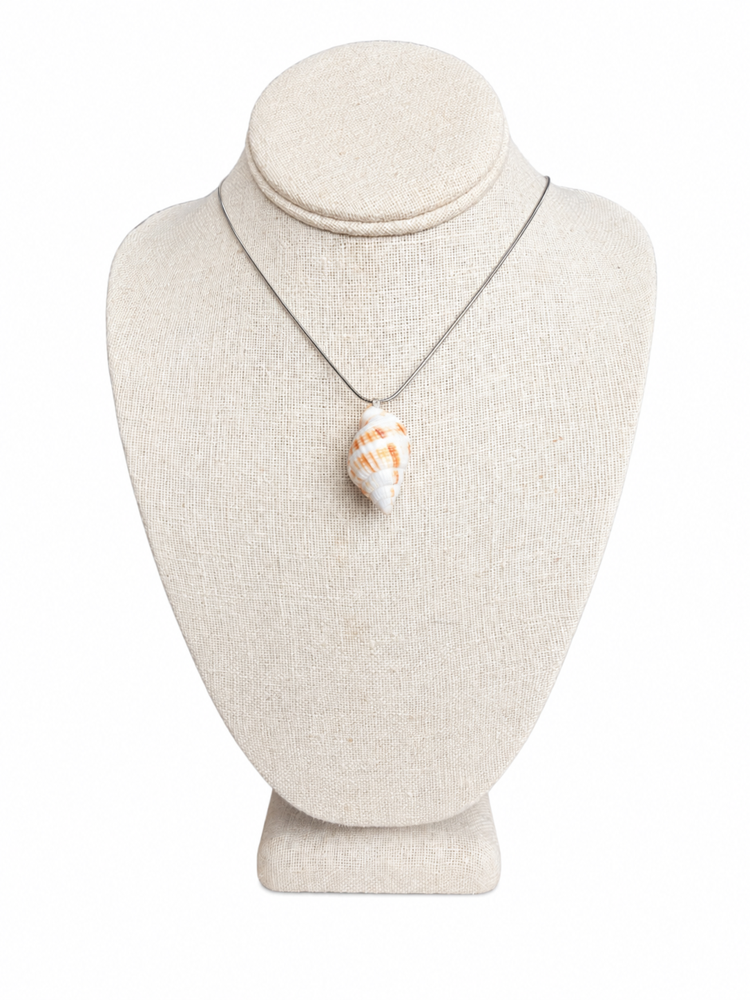 Nutmeg Shell Necklace
