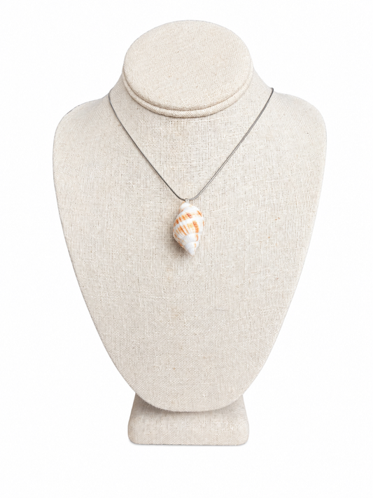 Nutmeg Shell Necklace