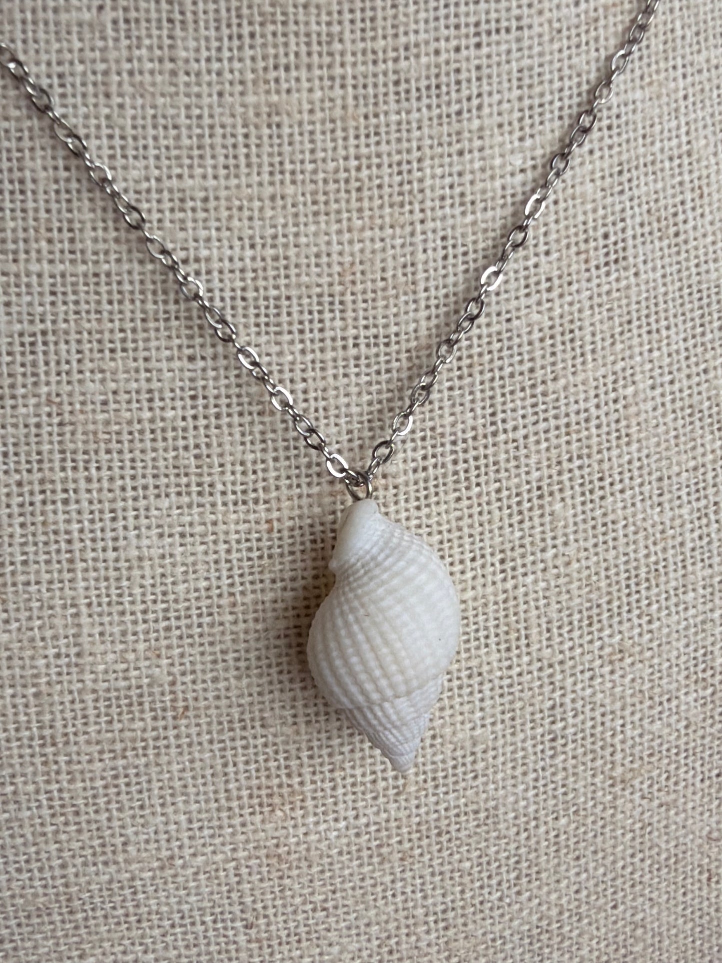 Albino Nutmeg Shell Necklace