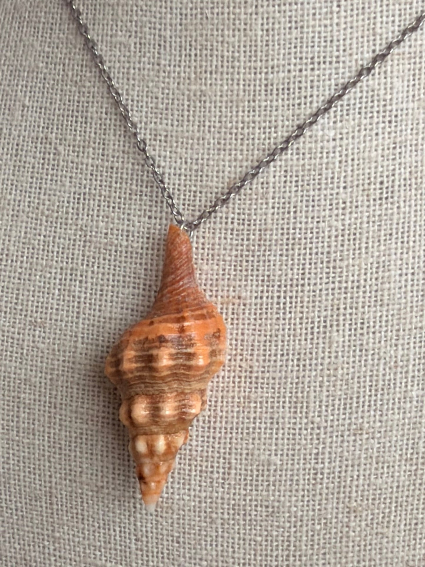 2" Horse Conch Necklace