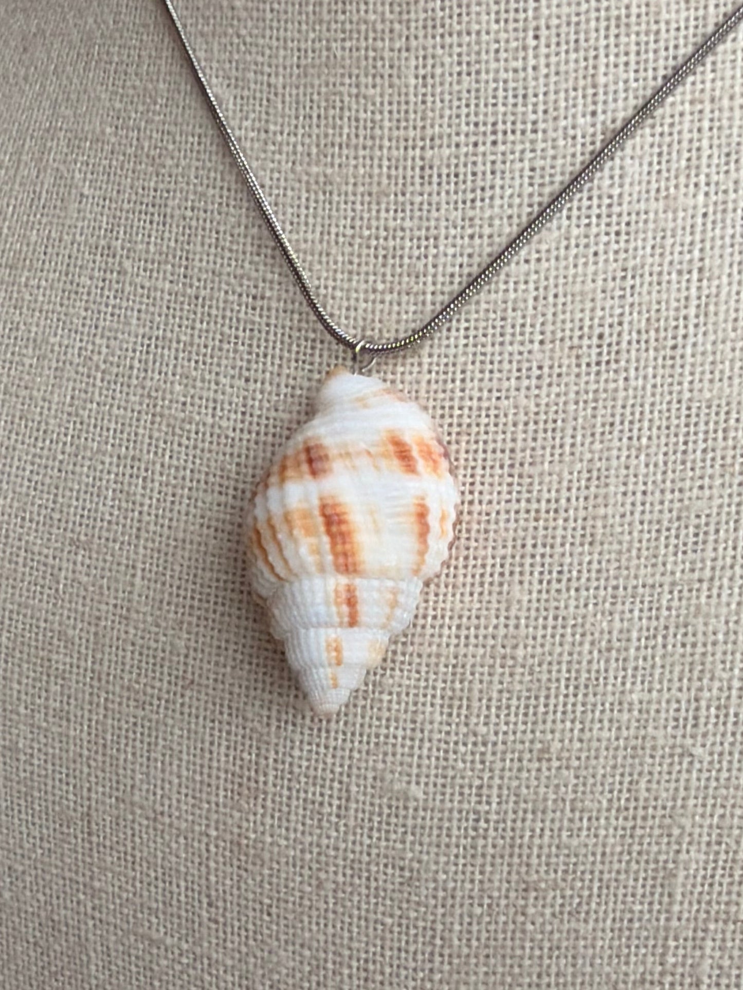 Nutmeg Shell Necklace