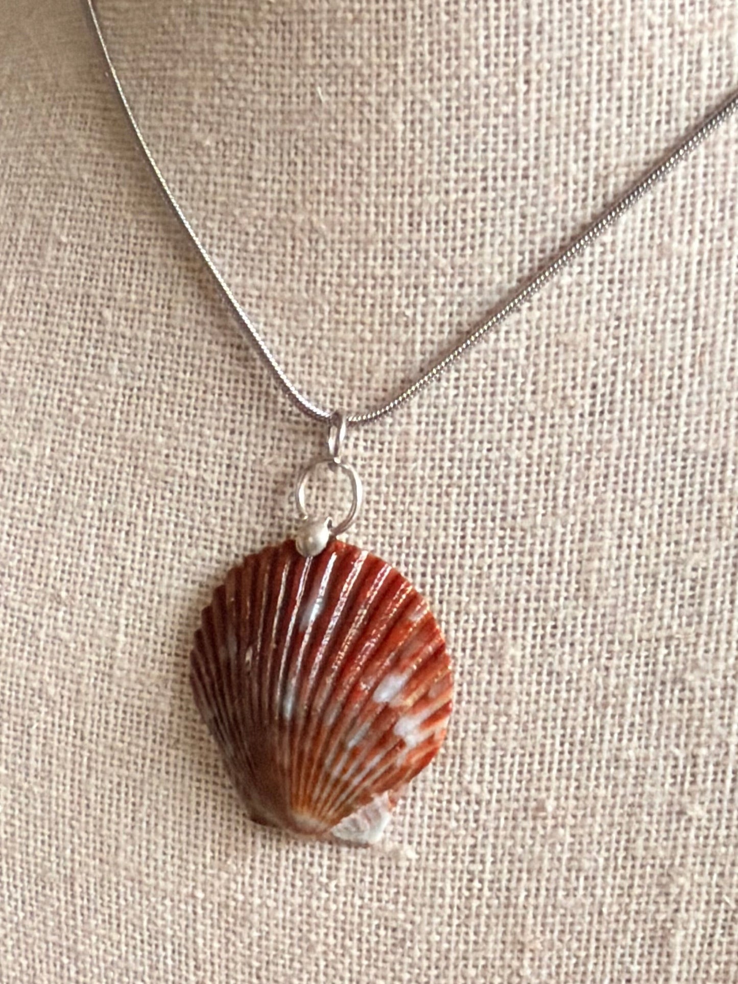 Speckled Scallop Shell Necklace