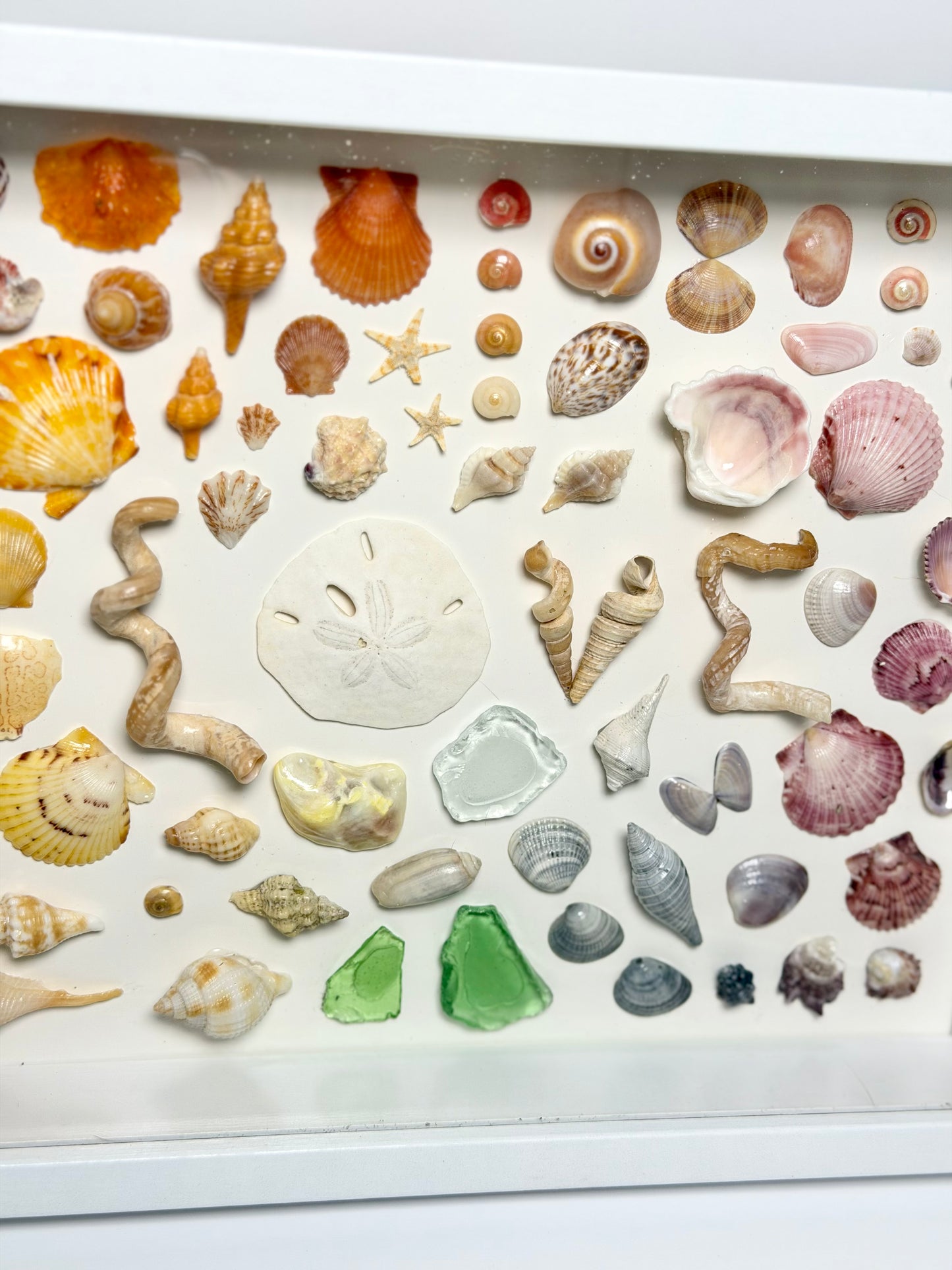 LOVE Rainbow Shell Shadow Box