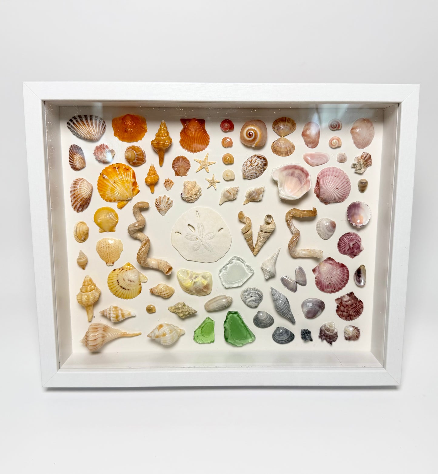 LOVE Rainbow Shell Shadow Box