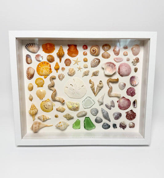 LOVE Rainbow Shell Shadow Box