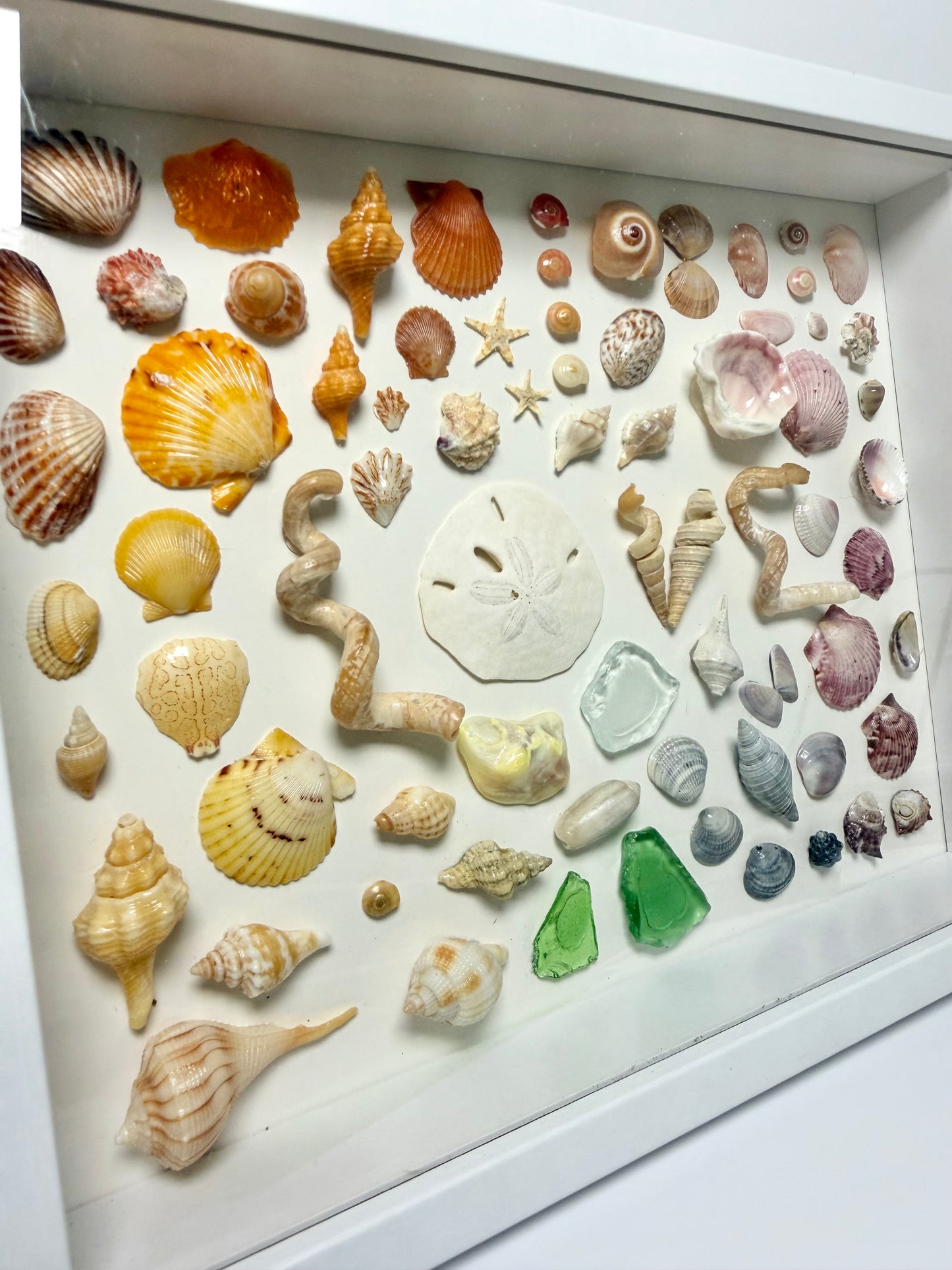 LOVE Rainbow Shell Shadow Box