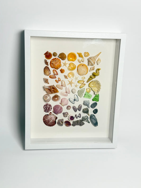 Rainbow Shell Shadow Box