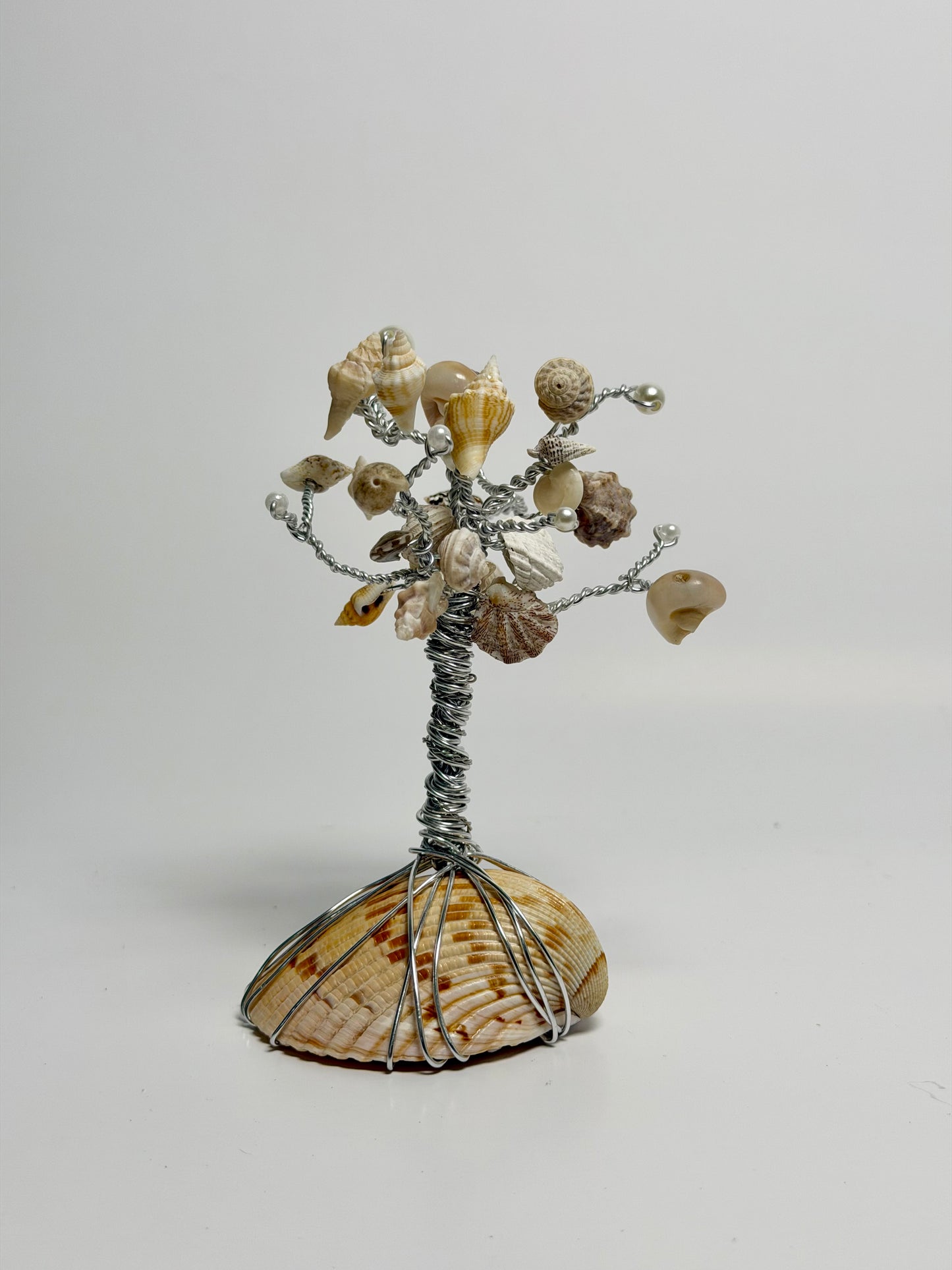 Shell Bloom Wire Tree Sculpture