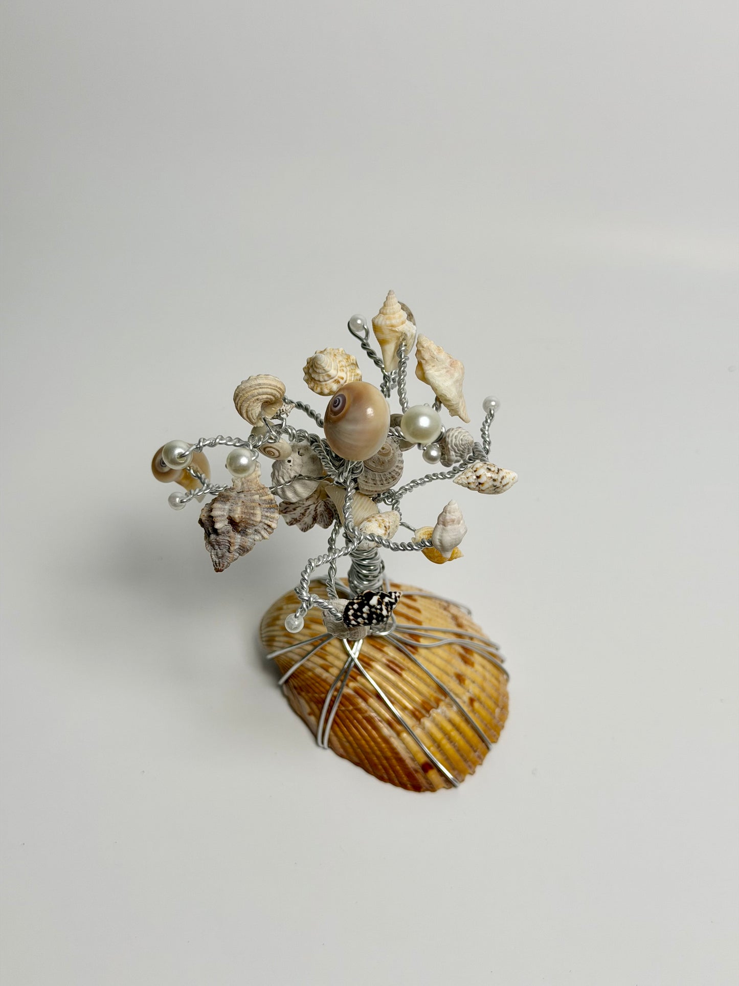 Shell Bloom Wire Tree Sculpture