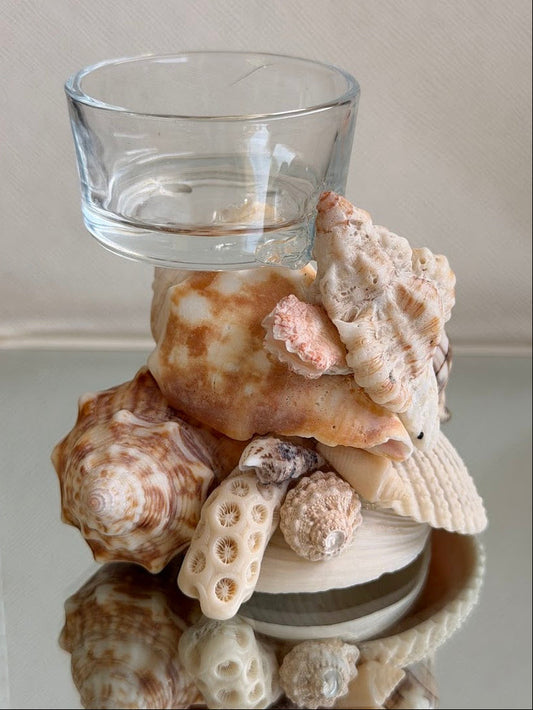 Seashell Tea Light Holder (K)