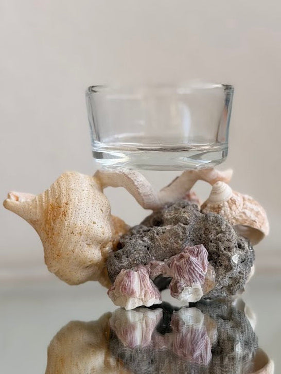 Seashell Tea Light Holder