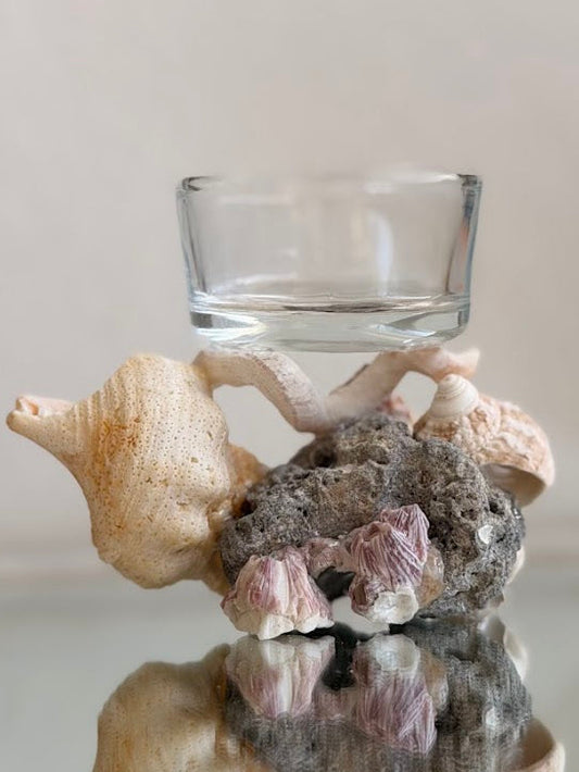 Seashell Tea Light Holder (I)