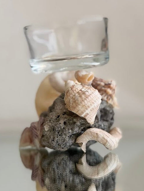 Seashell Tea Light Holder