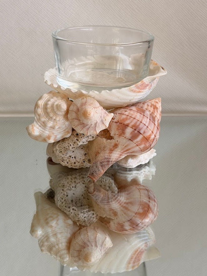 Seashell Tea Light Holder