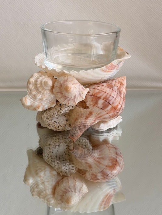 Seashell Tea Light Holder (J)