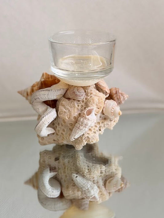 Seashell Tea Light Holder (F)