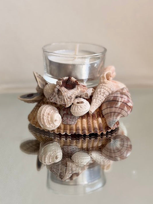 Seashell Tea Light Holder (E)