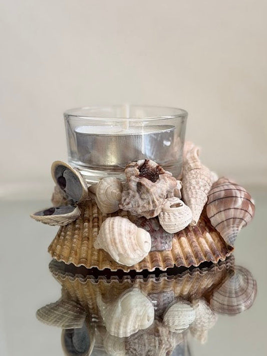 Seashell Tea Light Holder