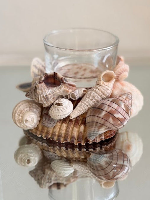 Seashell Tea Light Holder