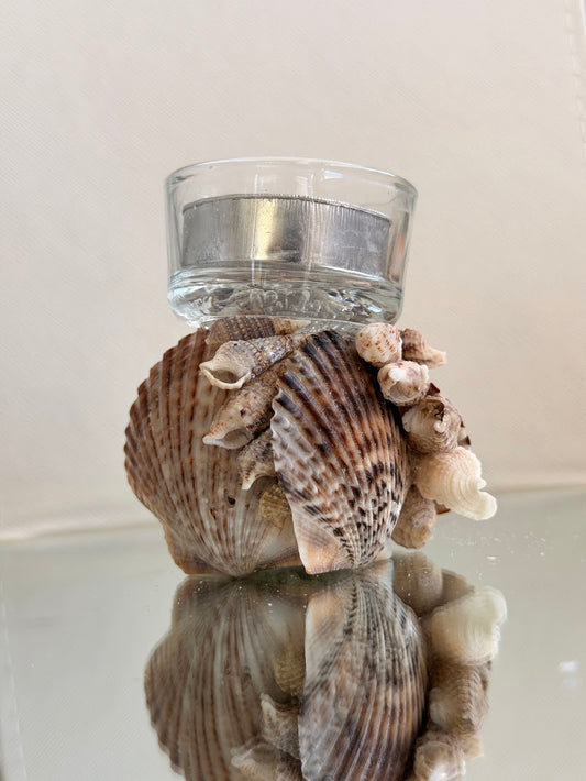 Seashell Tea Light Holder (D)