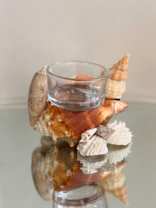 Seashell Tea Light Holder (C)