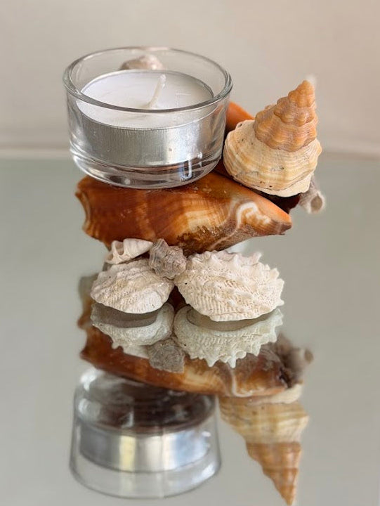 Seashell Tea Light Holder