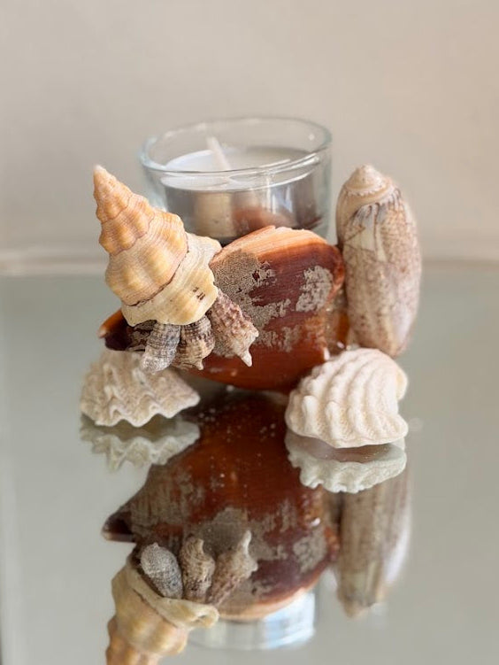 Seashell Tea Light Holder