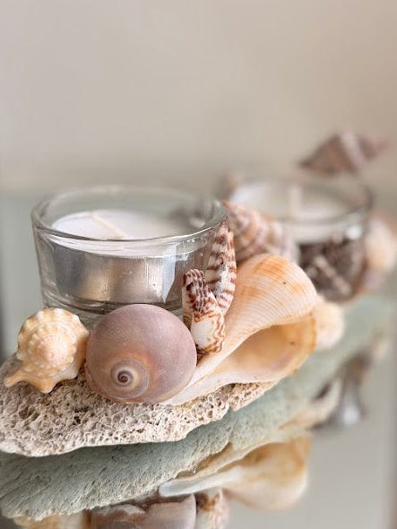 Seashell Tea Lights Holder