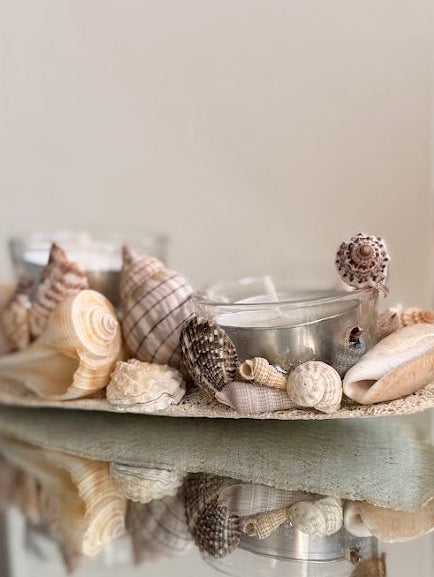 Seashell Tea Lights Holder