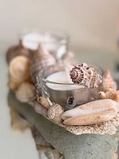 Seashell Tea Lights Holder