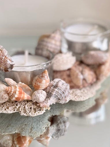 Seashell Tea Lights Holder