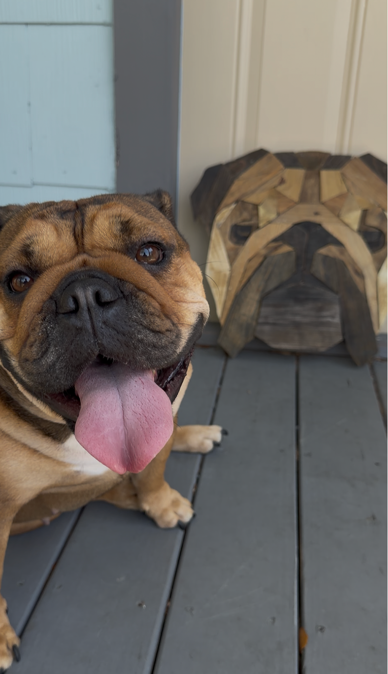 Custom Pallet Wood Dog Portrait